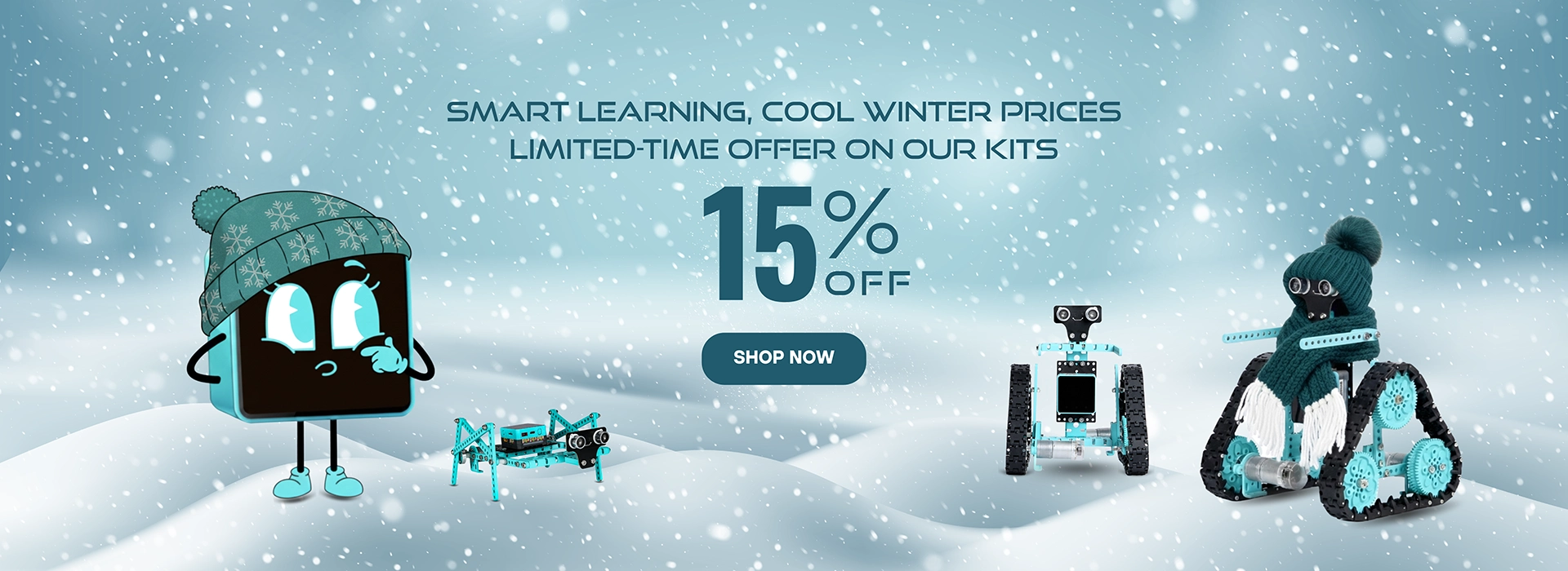 makerand coder winter sale banner